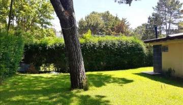 large-1636058408-IMG_20211030_122836454 640x480.jpg